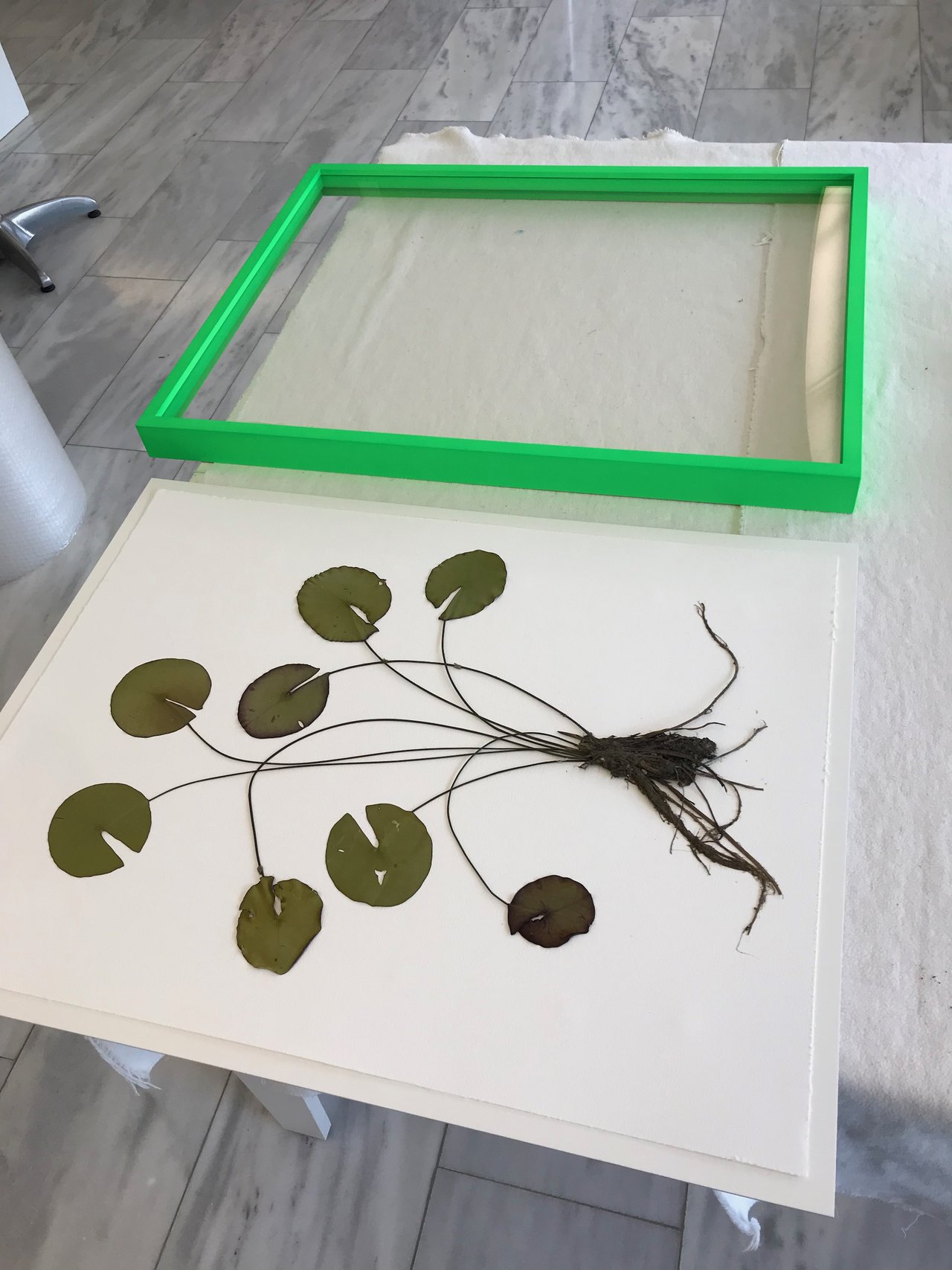 IMG_8137.jpeg IMG_8137.jpeg