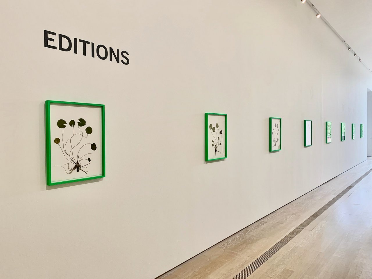 a184e77c-15af-4f9b-bcc6-1f4407a05a0f.jpeg a184e77c-15af-4f9b-bcc6-1f4407a05a0f.jpeg