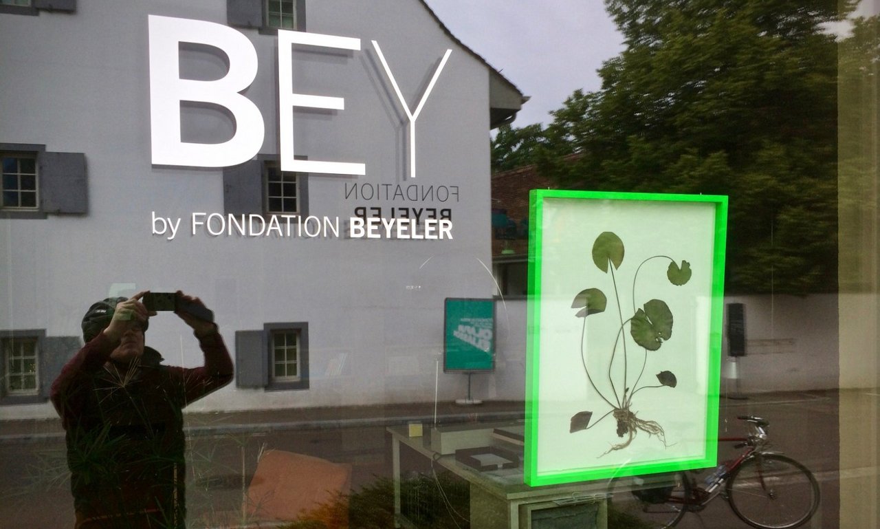 3956b51c-b585-4810-9bf7-bb141d670c29.jpeg 3956b51c-b585-4810-9bf7-bb141d670c29.jpeg